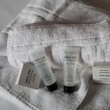 Irish College 3* Leuven