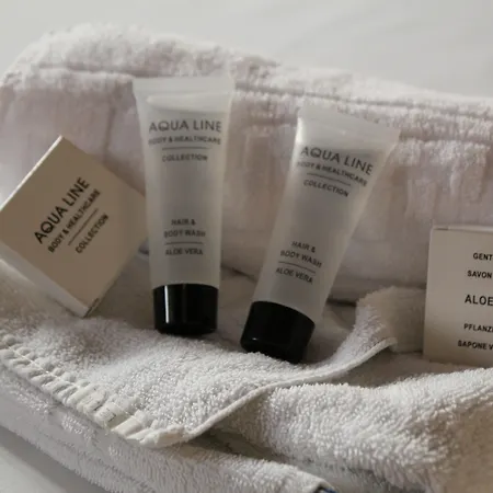 Irish College Otel Leuven