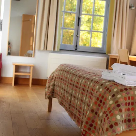 Irish College Hotel Lovaina