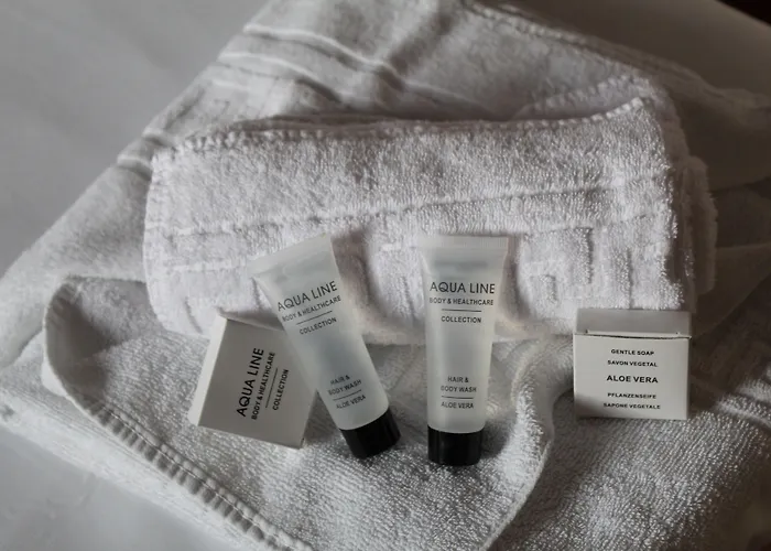 Irish College 3* Leuven