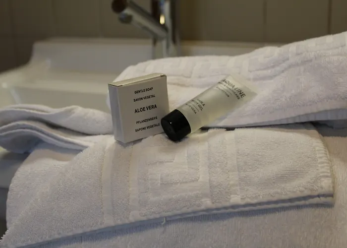 Hotel Irish College 3*