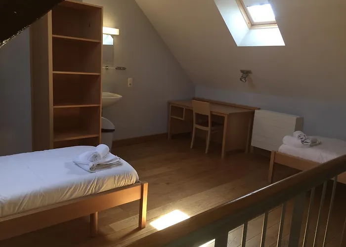 Irish College 3* Leuven